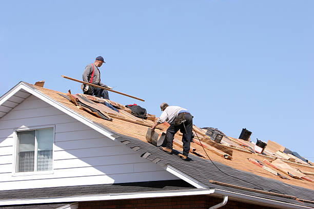 Best Steel Roofing  in Hamilton, MO