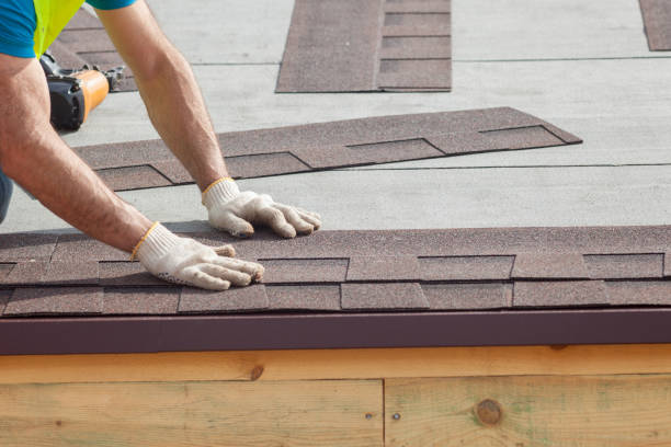 Best Roof Maintenance and Cleaning  in Hamilton, MO